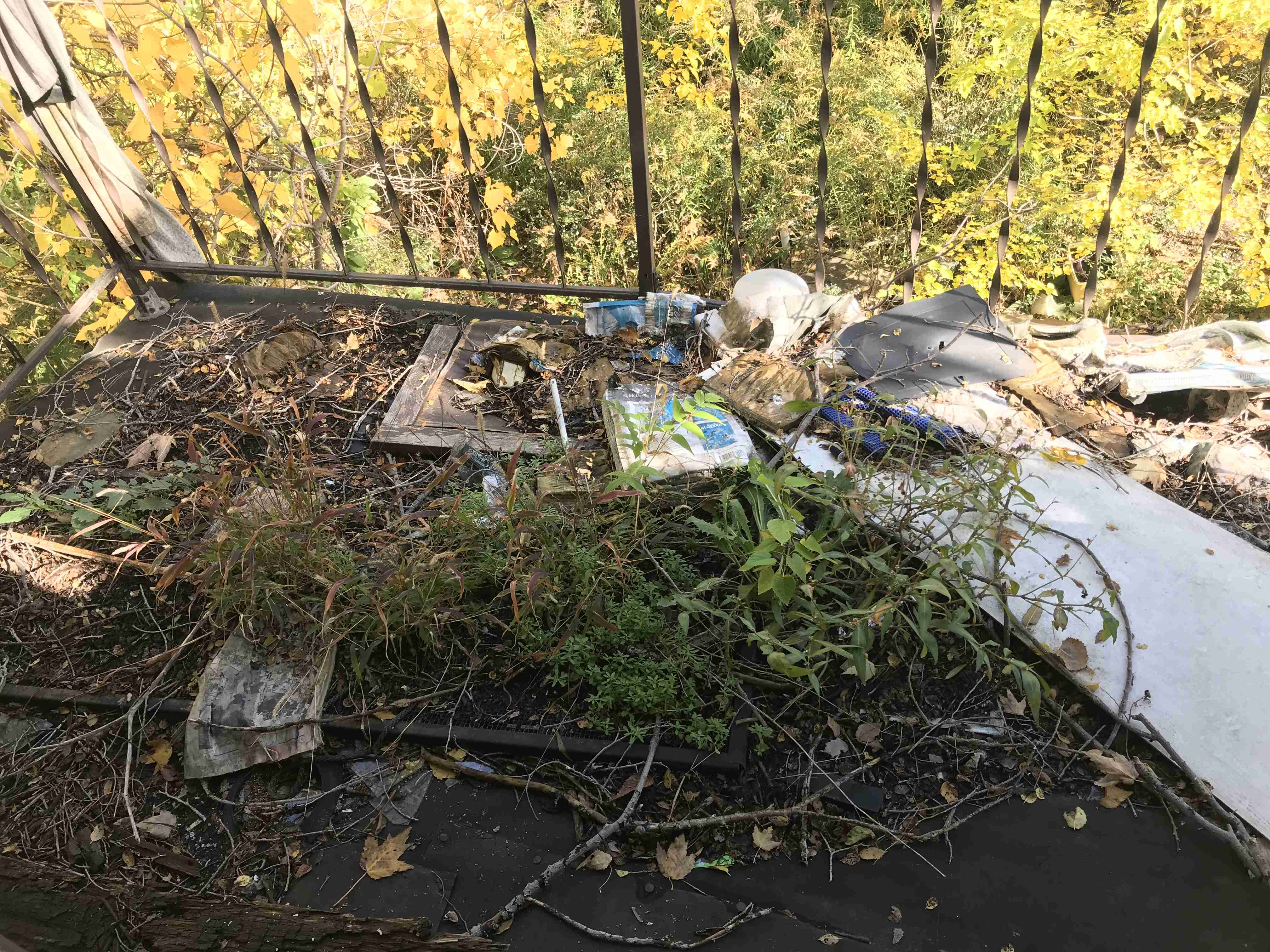 Photo Oct 13, 12 34 45 PM (1).jpg